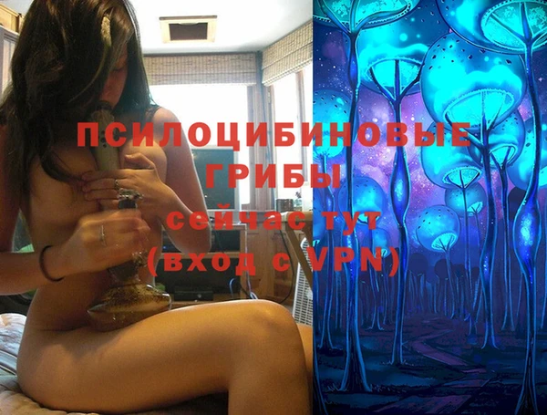 ALPHA PVP Армянск